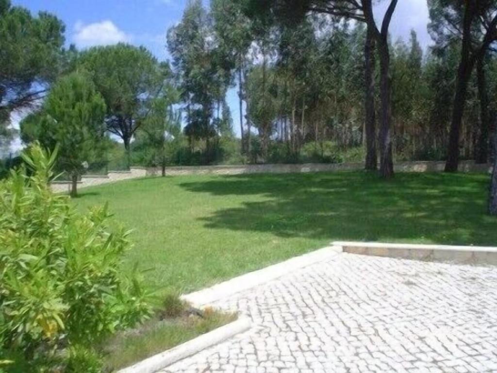 Quinta Do Alto Dos Pinheiros Villa São João da Ribeira Exterior foto