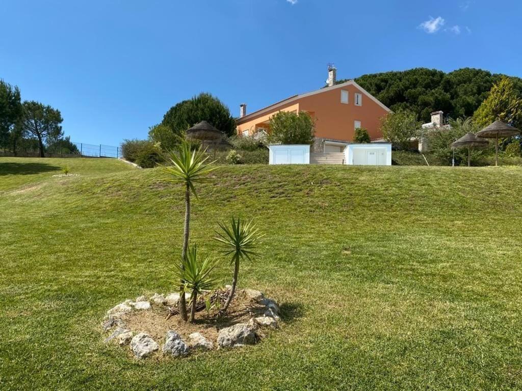 Quinta Do Alto Dos Pinheiros Villa São João da Ribeira Exterior foto